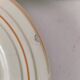 Set of 6 vintage orange and blue floral plates – 1950s