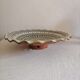 Old oriental ceramic dish. Morocco, Safi