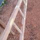 Old wooden fruit harvest market gardener's ladder - 3m65
