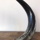 Polished beef horn on brass base