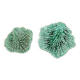 Duo dish dish in Sarreguemines cabbage leaf slip