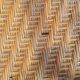 Rattan and wicker bench 1960