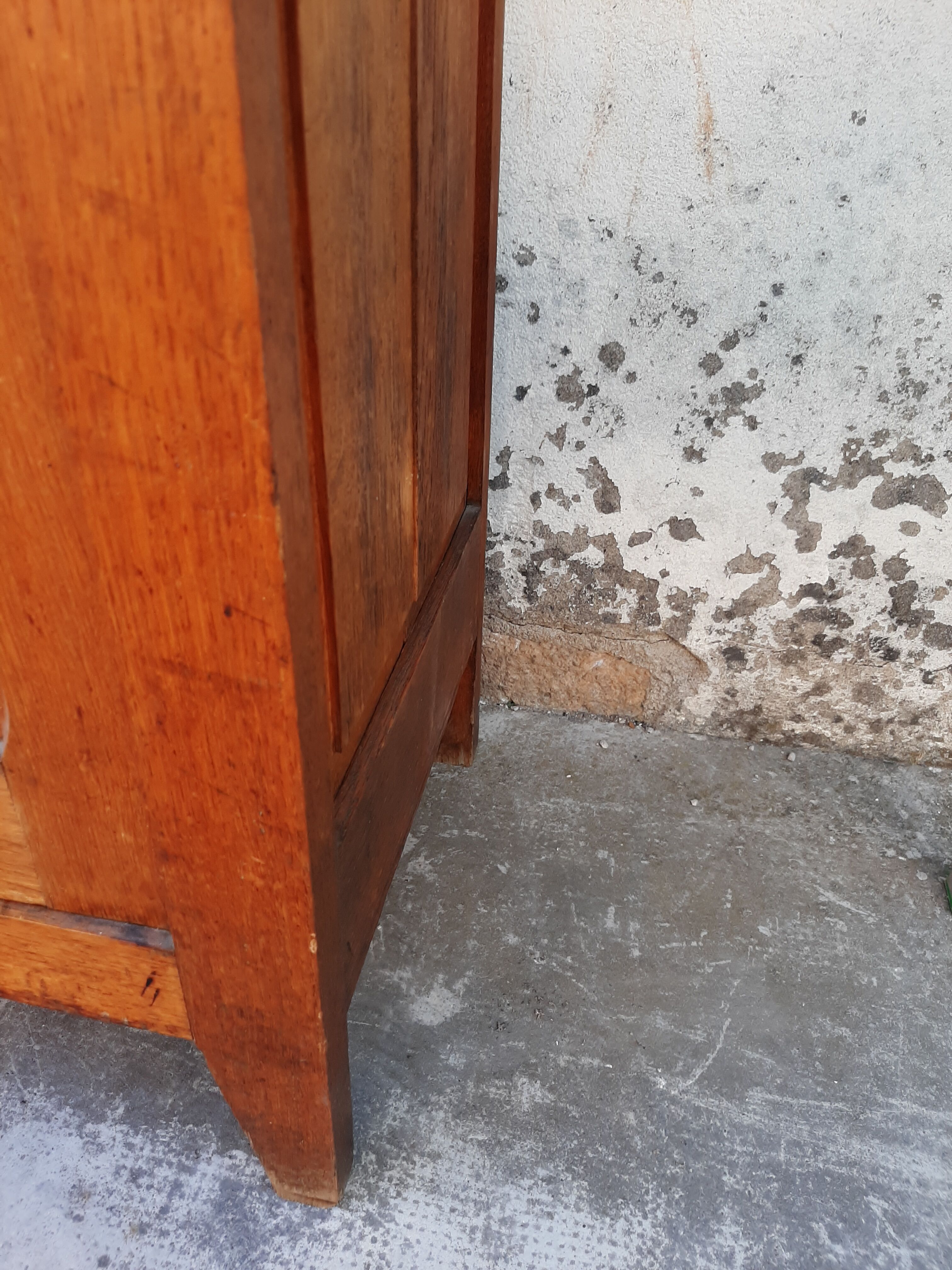 Ancient parisian oak library