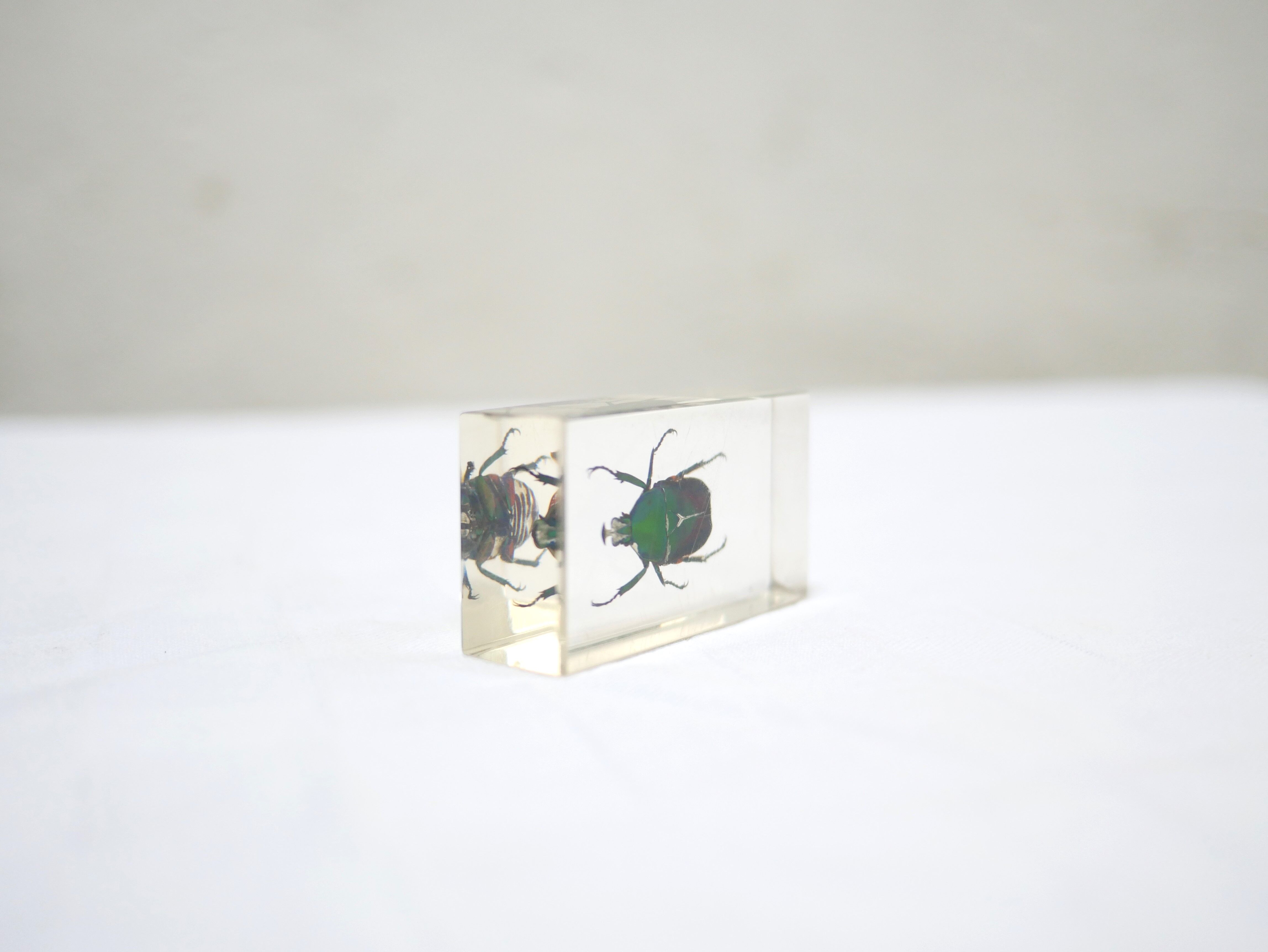 Vintage resin insect