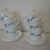 6 cups and saucers Arcopal Myosotis