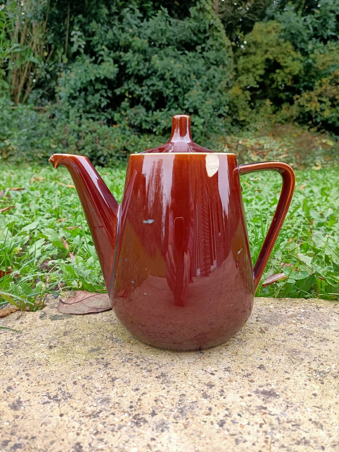 Coffee/Teapot ~ Villeroy and Boch