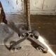 Floor candelabrum