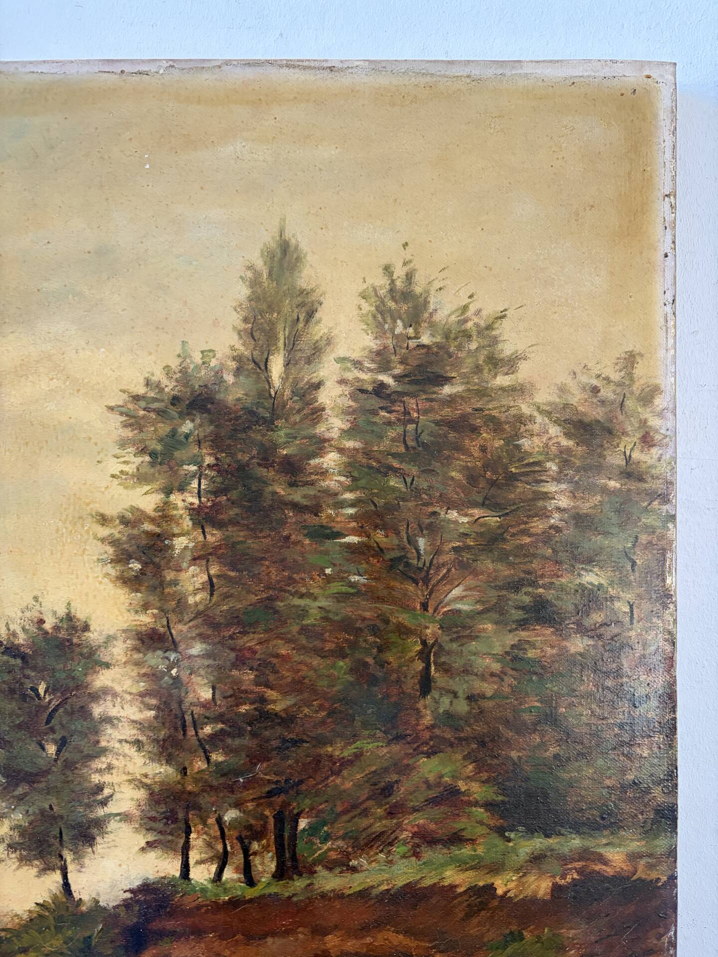 Landscape at the pond, oil on canvas signed André Ricq.
