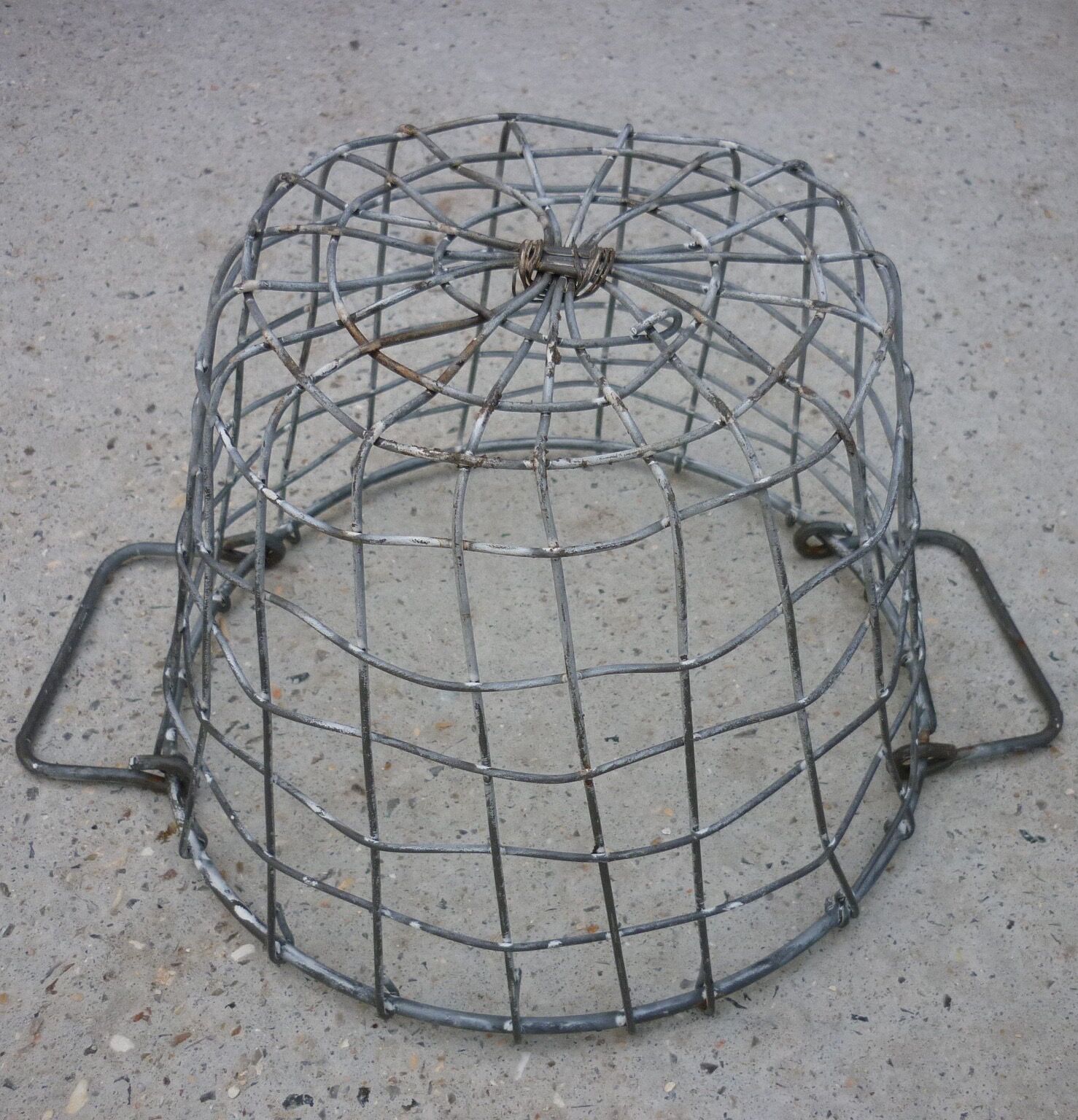 Metal harvest basket with 2 handles