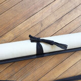 Displays the cuttlefish by Dr Auzoux