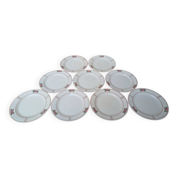 9 anciennes assiettes plates en Terre de Fer Salins modèle Nénuphar 24.5cm