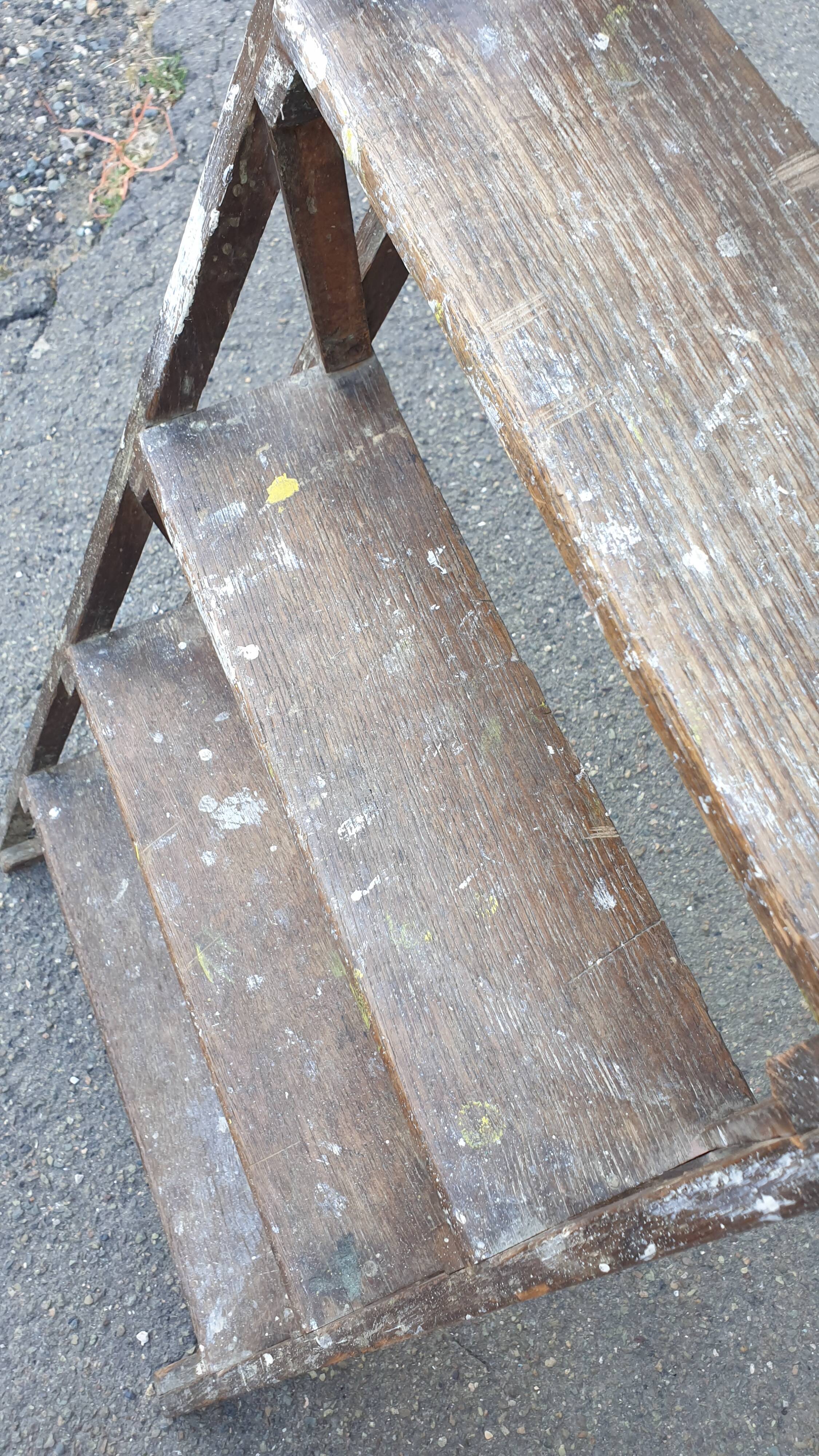 Painter's stepladder in solid beech