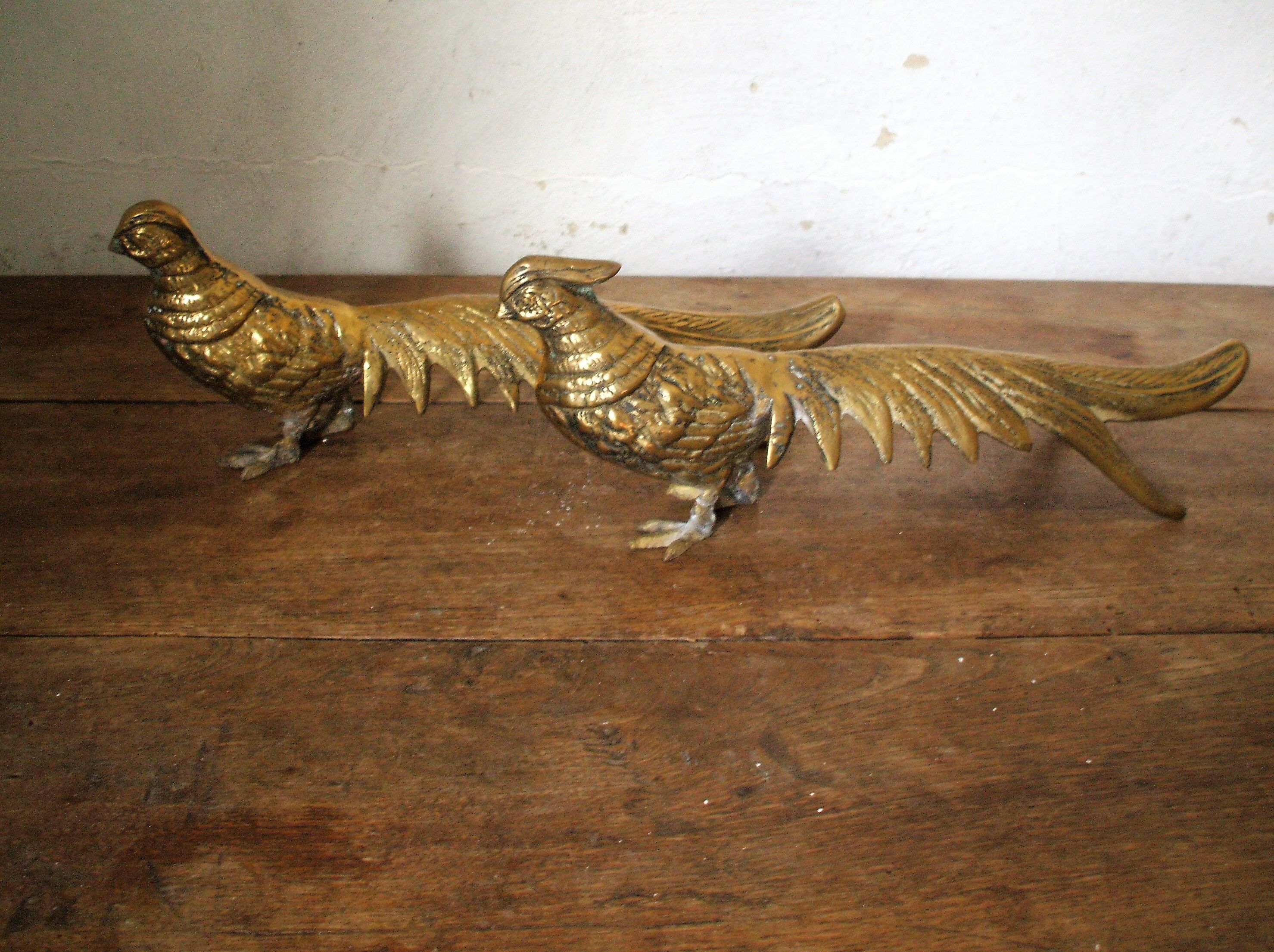 Brass pheasant couple
