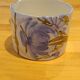 Water butter dish