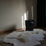 Sheep's skin