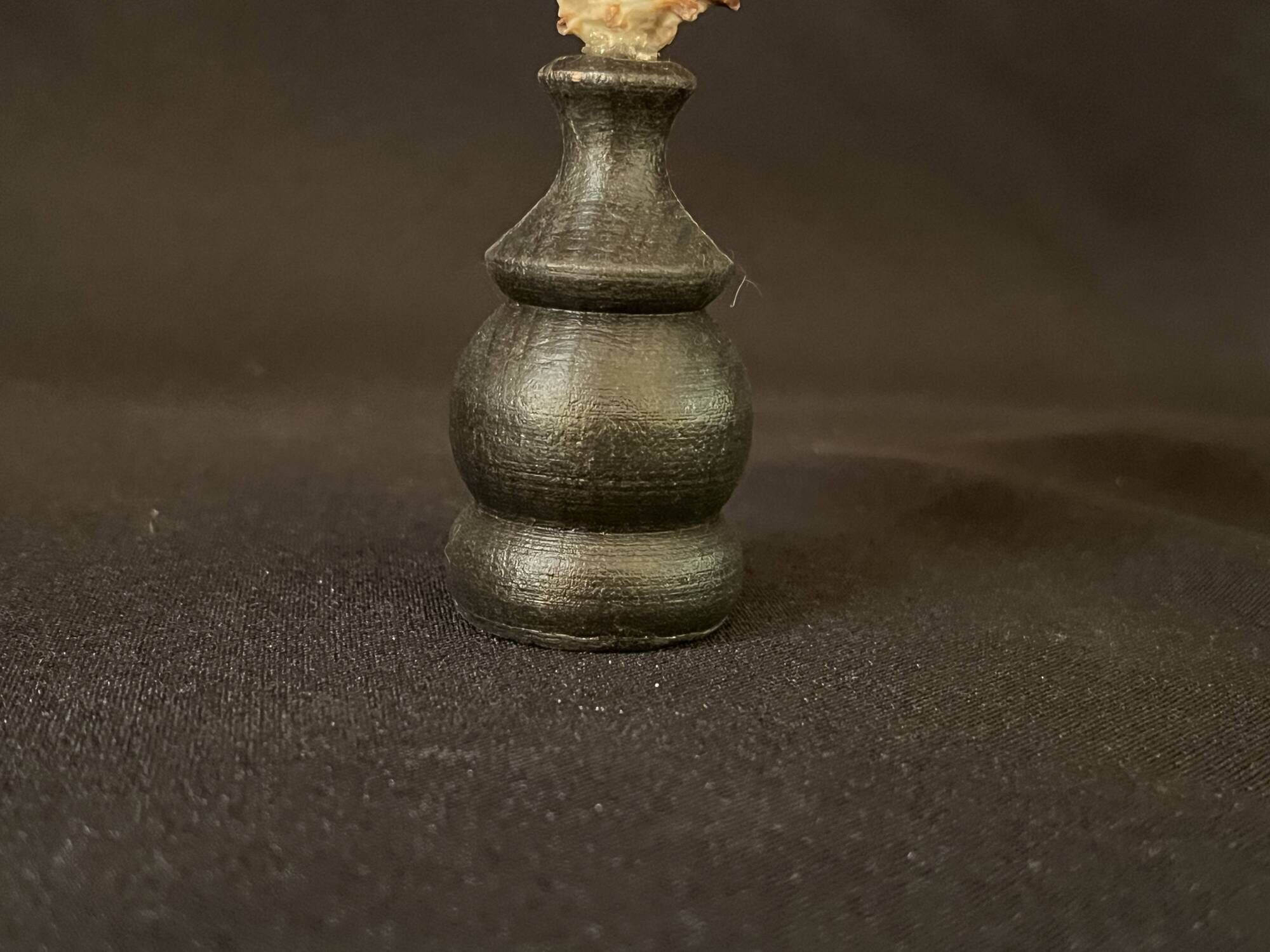 Hexaplex Cichoreum shell on turned wooden base, old cabinet of curiosities on foot