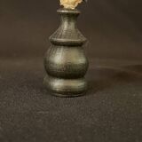 Hexaplex Cichoreum shell on turned wooden base, old cabinet of curiosities on foot