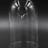 Glass bell globe for decoration cabinet of curiosity