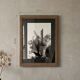 Original work on paper signed by Eugène Eechaut, created in ink and framed, 1973.