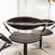 Set of 4 chairs armchairs Steiner model unesco 1962