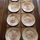 8 Avellan dinner plates