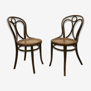 Paire de chaises thonet n°19