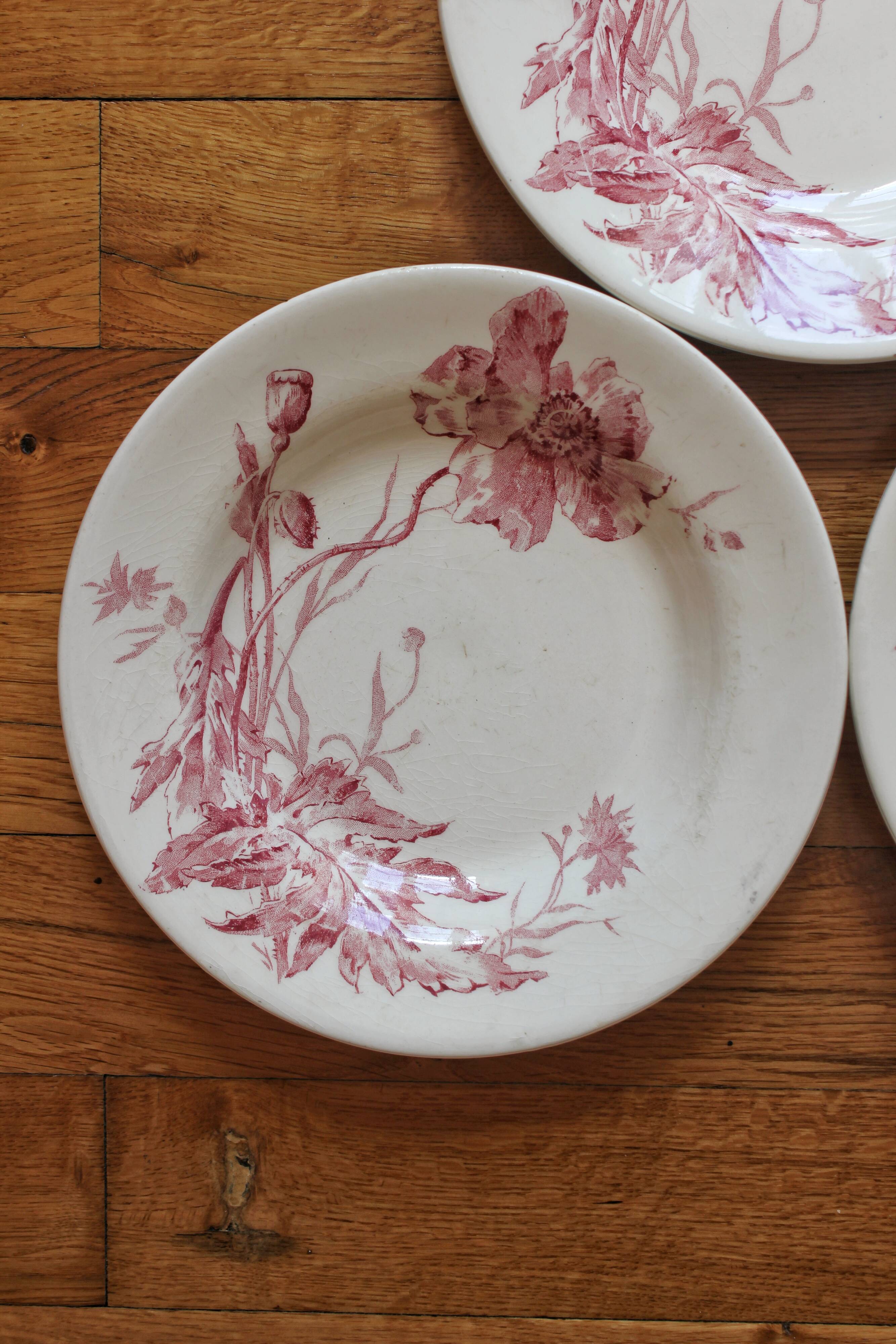 4 plates in iron earth opaque poppies, from Gien