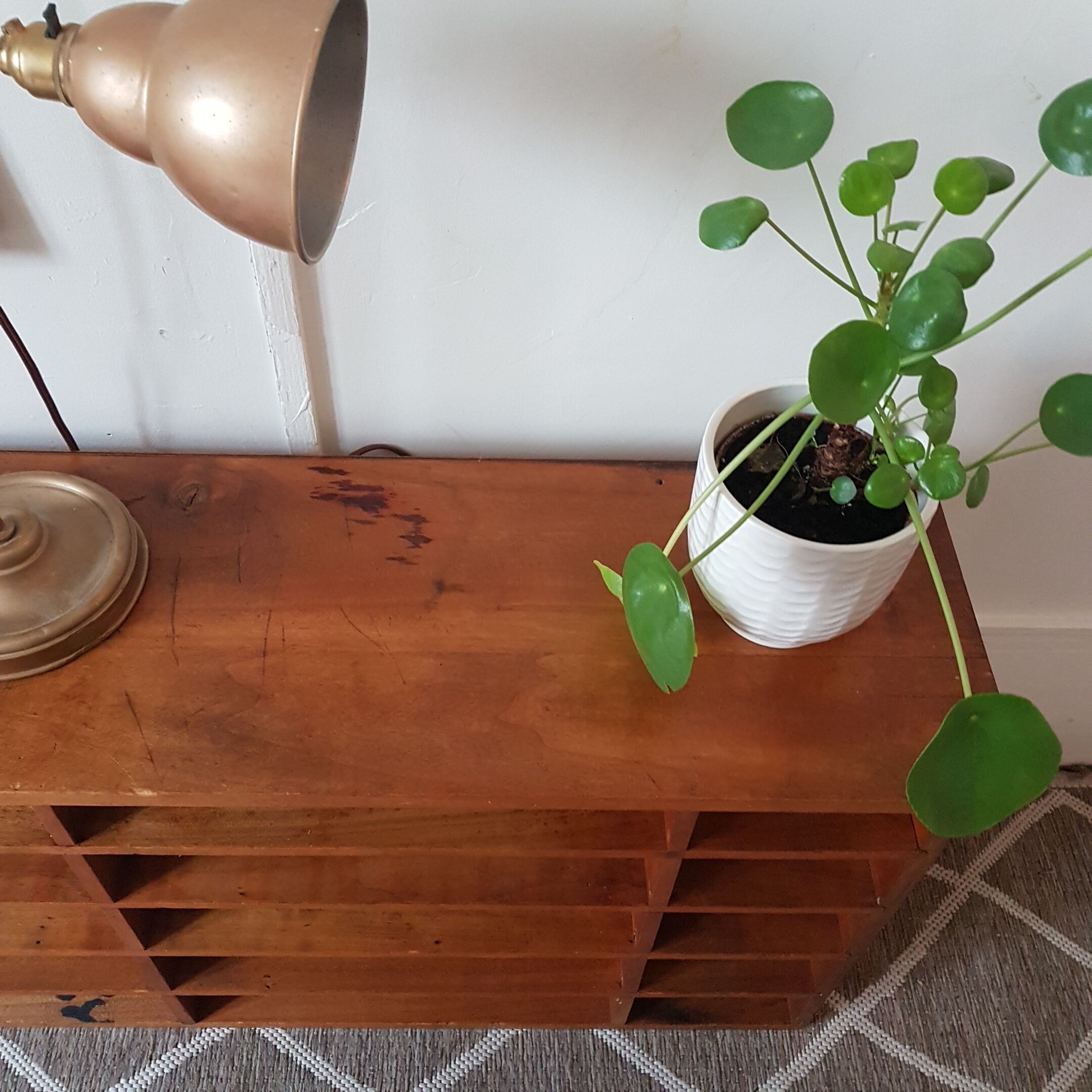 Sorting Cabinet shelf