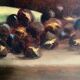 HST painting "Still life with oranges and chestnuts" signed H. Lucotte 1913