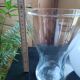 Vases IKEA vintage