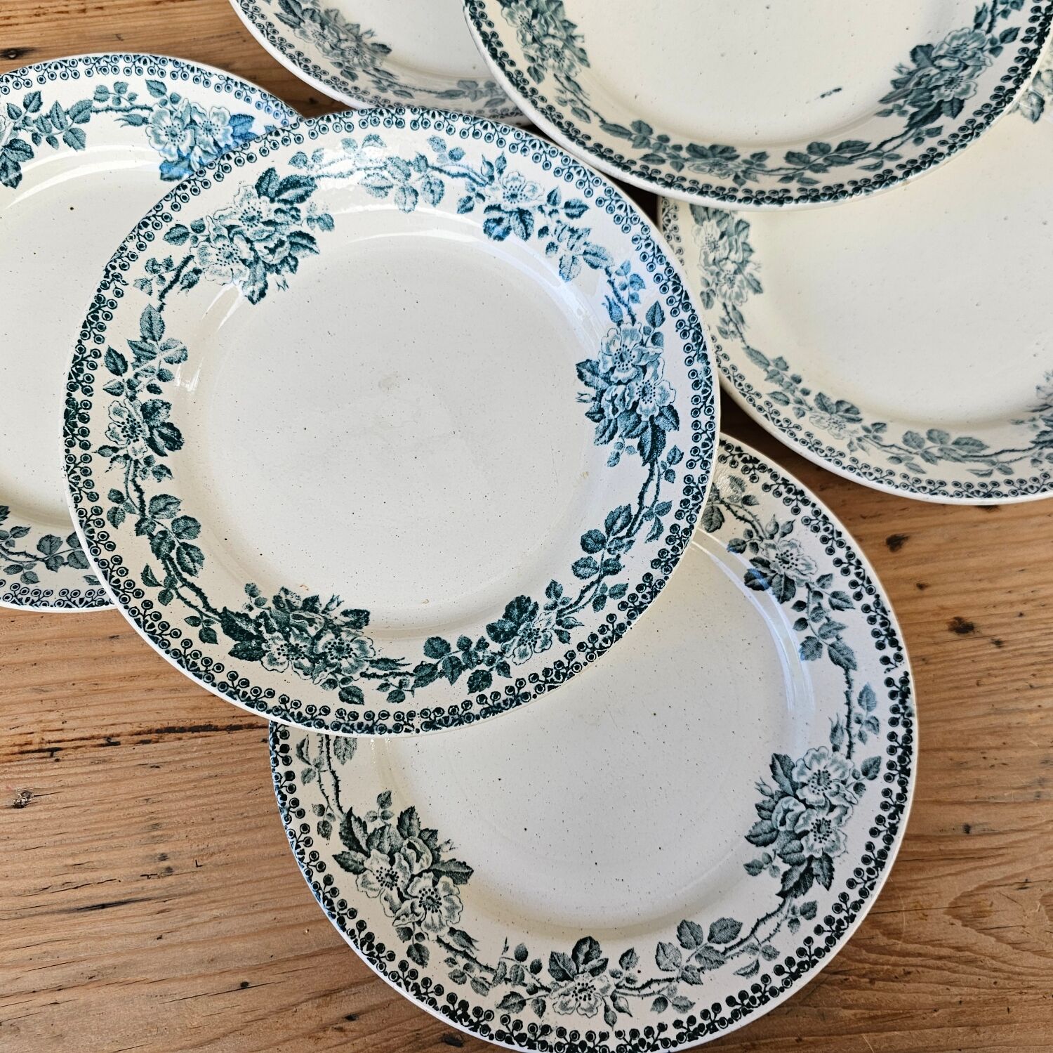 Flat plates Guadeloupe Terre de Fer