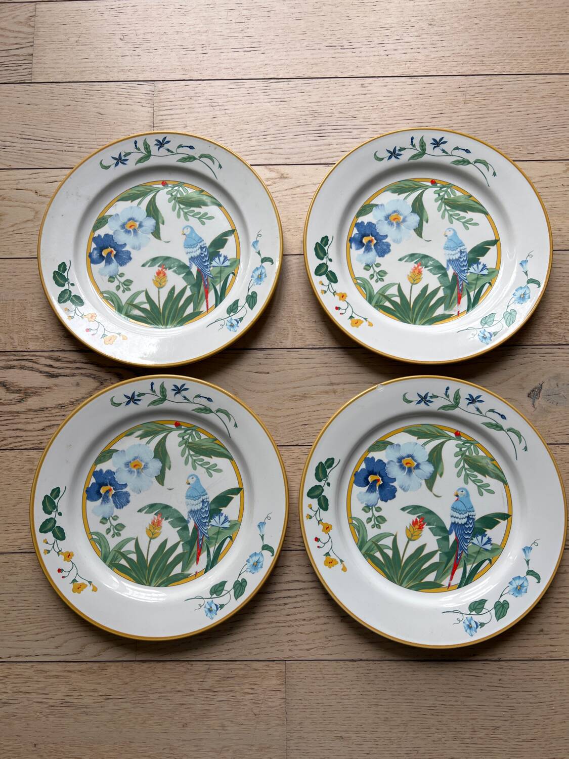 Flat plates model Ara Pier Import