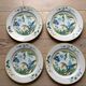 Flat plates model Ara Pier Import