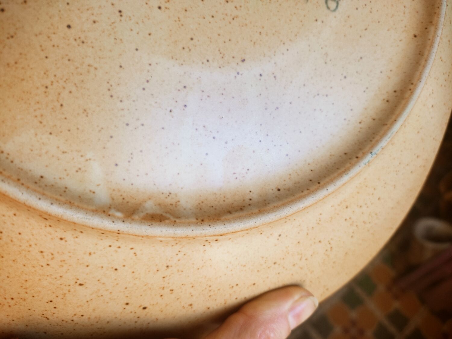 12 free-form speckled satin stoneware plates