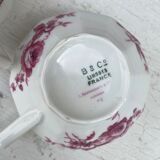 Coffee cups
