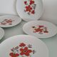 Set of 5 flat plates - Arzberg earthenware factory 1960/70