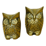 Pair of owls/owls in golden brass