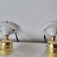 Duo of glass and porcelain flower wall lights