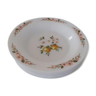 6 Hollow plates model Normandy Arcopal France decoration apples
