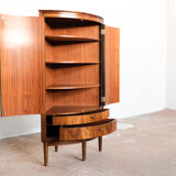 Compact danish corner cabinet in rosewood