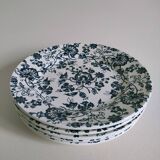 5 dessert plates