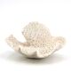 Vintage natural white coral, curiosity cabinet, 1970s