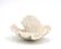 Vintage natural white coral, curiosity cabinet, 1970s