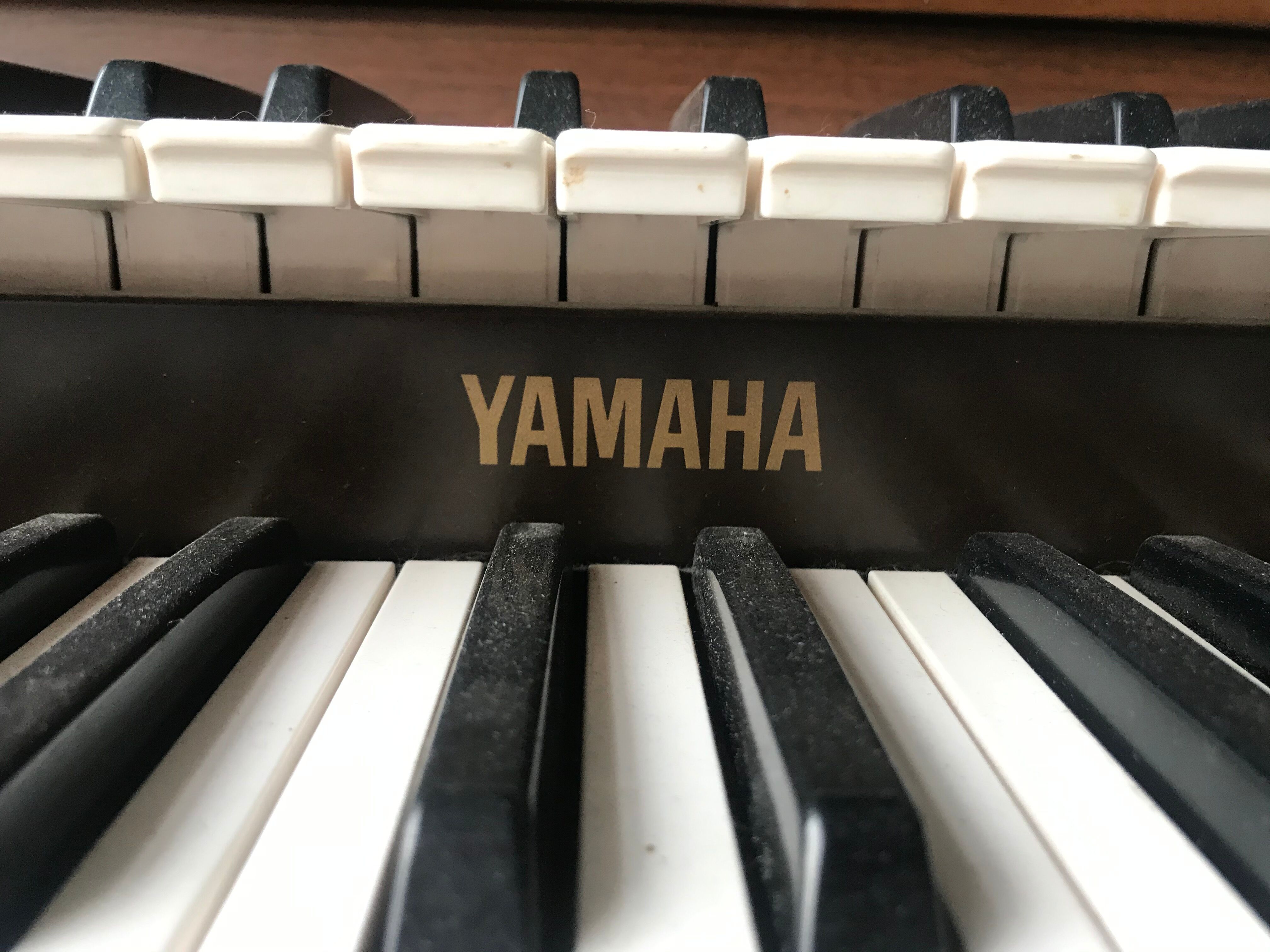 Yamaha Electone FE30 double keyboard organ