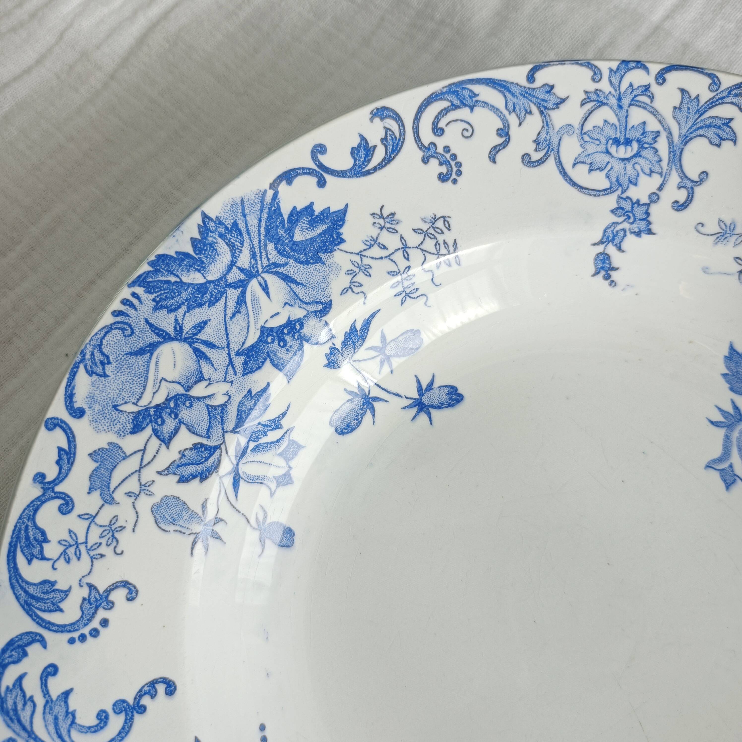 Set of 6 Saint Amand et Hamage iron earth soup plates, Bellflower