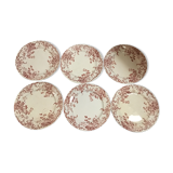 Set of 6 plates campanule st Amand