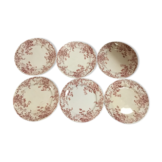 Set of 6 plates campanule st Amand