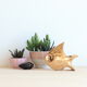 1960s solid brass ashtray in the shape of a stylized fish