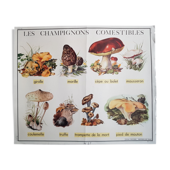Rossignol school poster