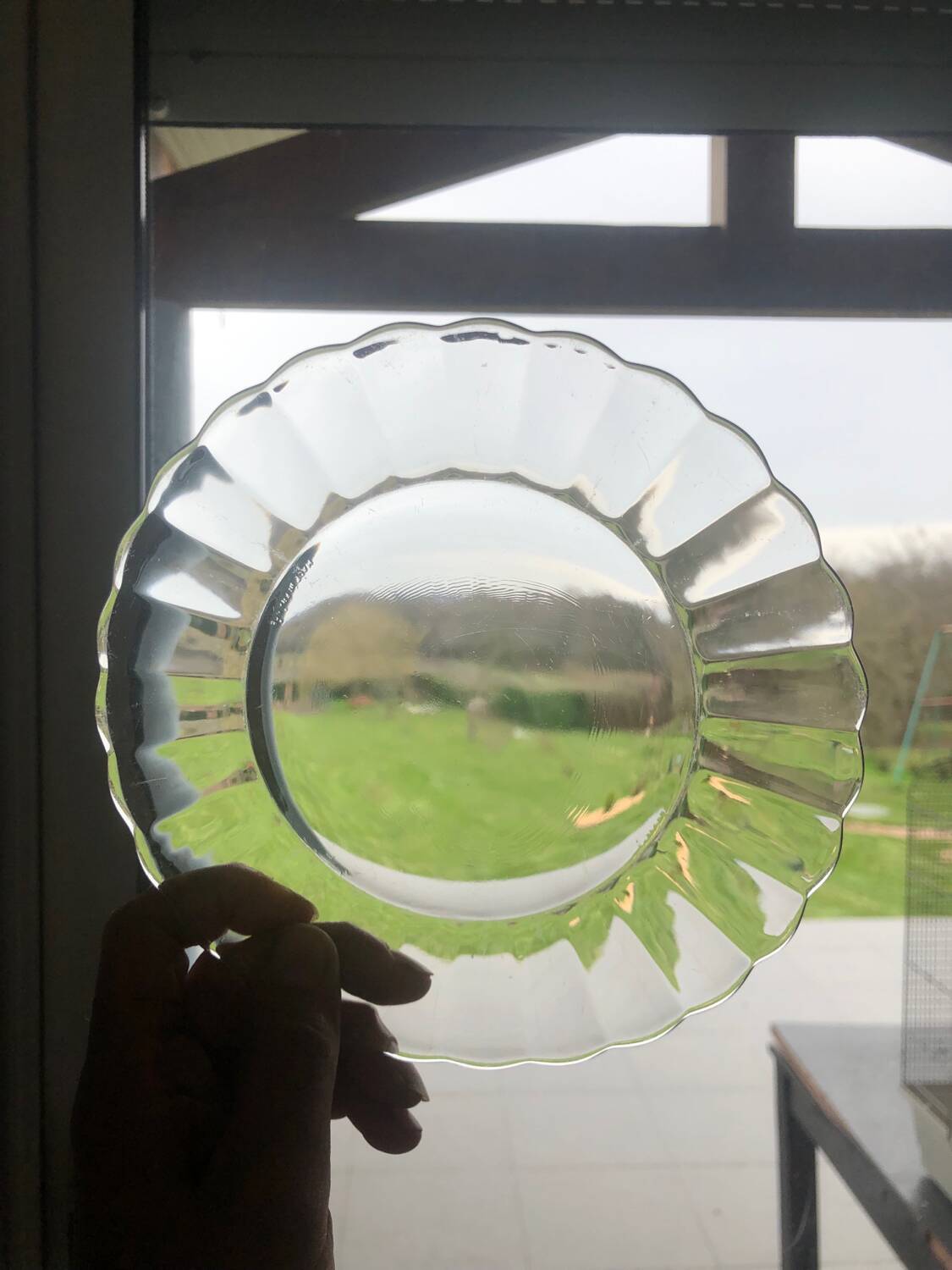 Duralex dessert plates in the shape of a daisy flower, transparent glass